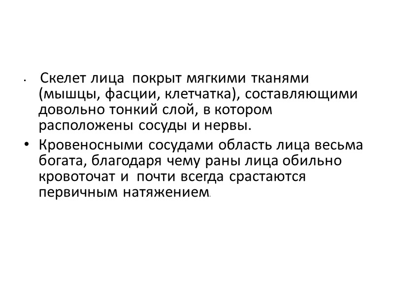 Скелет лица  покрыт мягкими тканями (мышцы, фасции, клетчатка), составляющими довольно тонкий слой, в